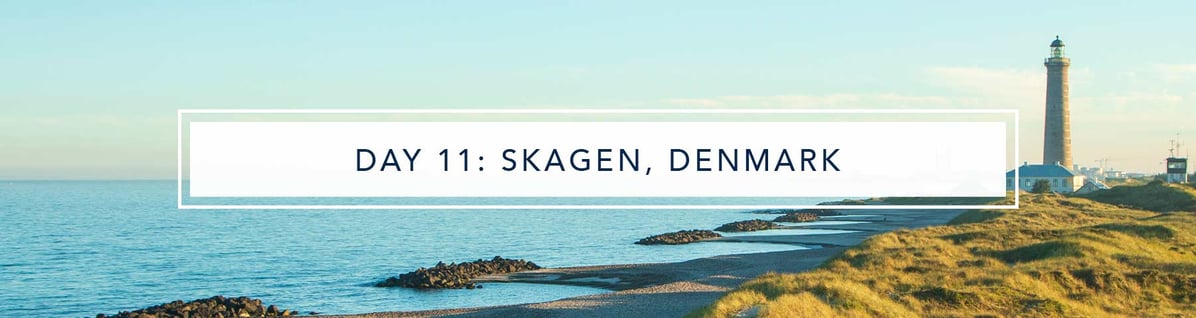 VotW-22620-skagen
